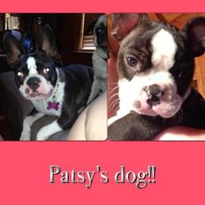 Meet your Posher, Patsy